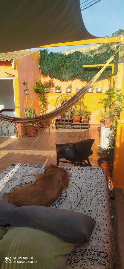 La Casita De Celia Apartamento Alicante Exterior foto